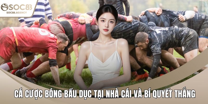 Cá cược bóng bầu dục