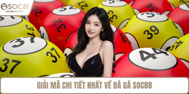 Giải mã chi tiết nhất về đá gà SOC88