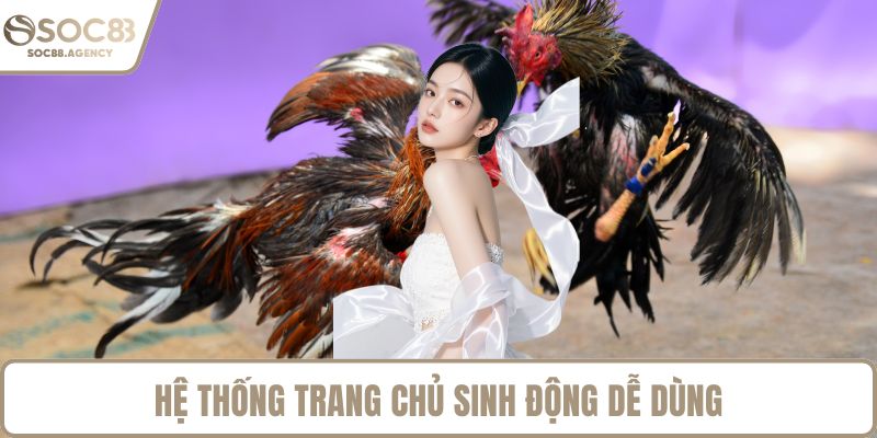 Hệ thống trang chủ sinh động dễ dùng